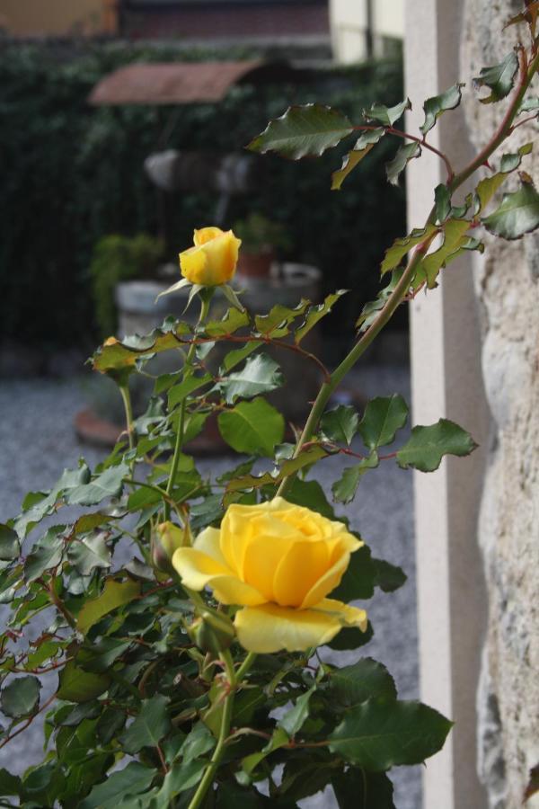 Cascina San Martino Bed & Breakfast Passirano Exterior photo