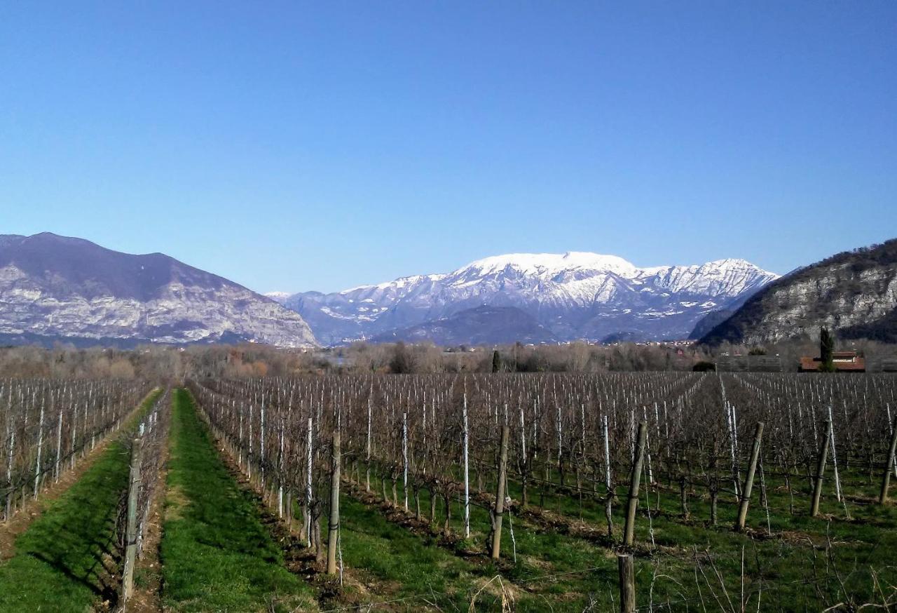 Cascina San Martino Bed & Breakfast Passirano Exterior photo